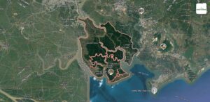 Đầu Tư Bất Động Sản Cần Giờ 2025: Đón Đầu Chu Kỳ Mới?