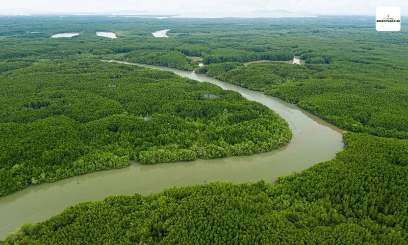 can-gio-tiem-nang-thanh-vung-loi-bds-ve-tinh-tp-hcm-30 image-can-gio-tiem-nang-thanh-vung-loi-bds-ve-tinh-tp-hcm-30