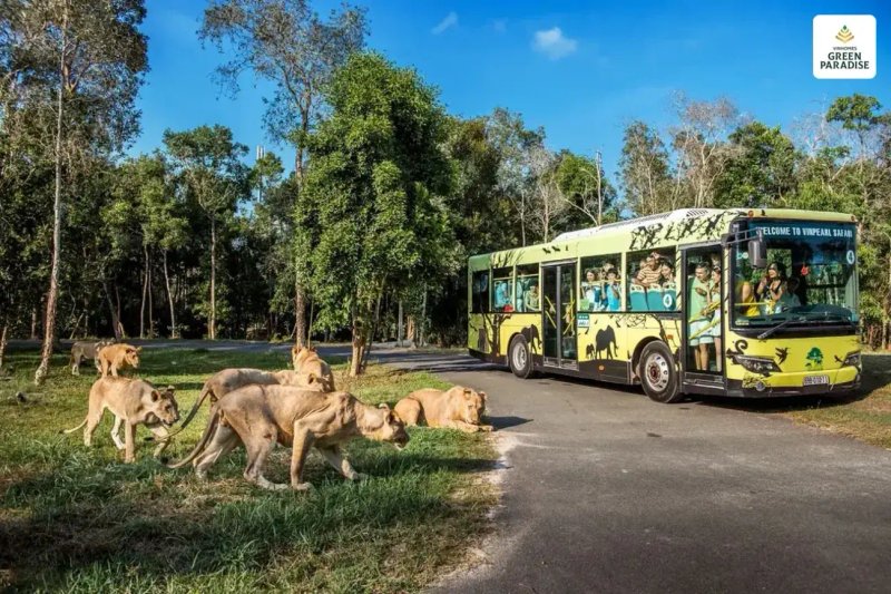 safari-vinhomes-can-gio-danh-gia-tiem-nang-thu-hut-khach-du-lich-quoc-te-20 image-safari-vinhomes-can-gio-danh-gia-tiem-nang-thu-hut-khach-du-lich-quoc-te-20