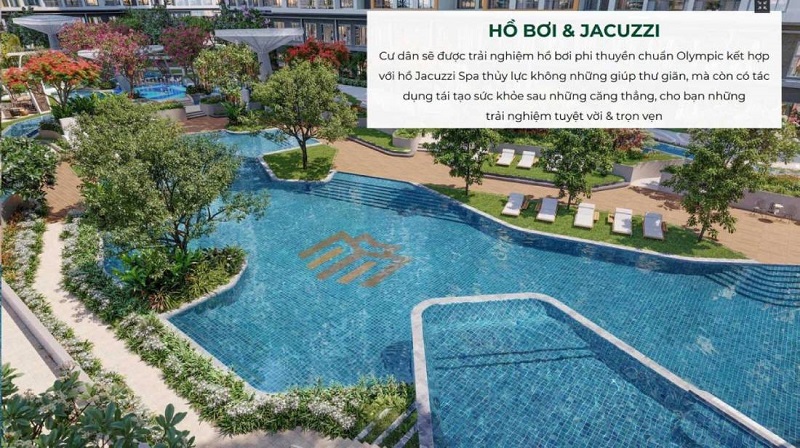 Hồ Bơi Chuẩn Olympic Và Hồ Jacuzzi